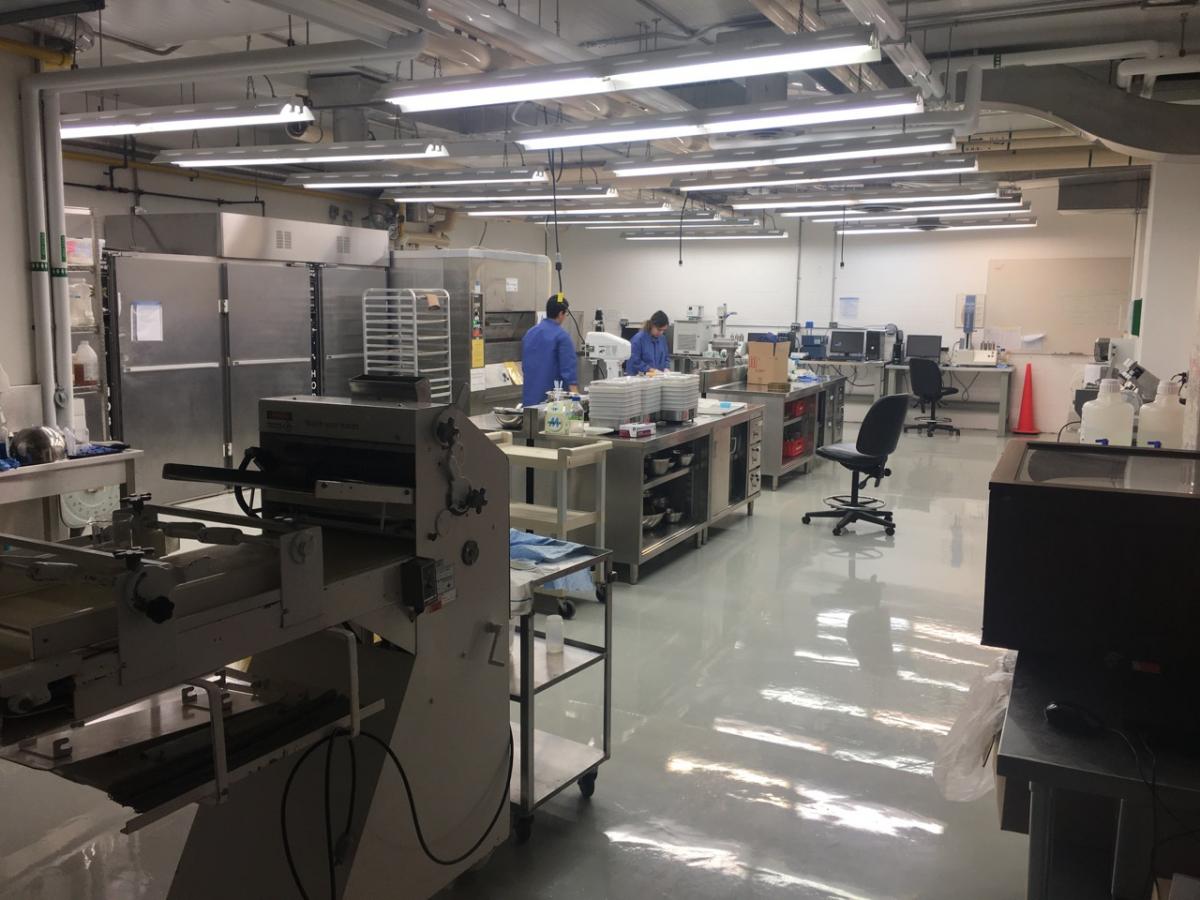 Virtual Tour of Food Science Labs and Pilot Plant Facilities Food Science